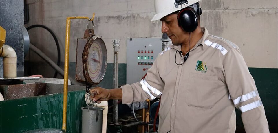 agrimroc-procesos-planta-procesamiento-1