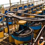 agrimroc-procesos-planta-procesamiento-2