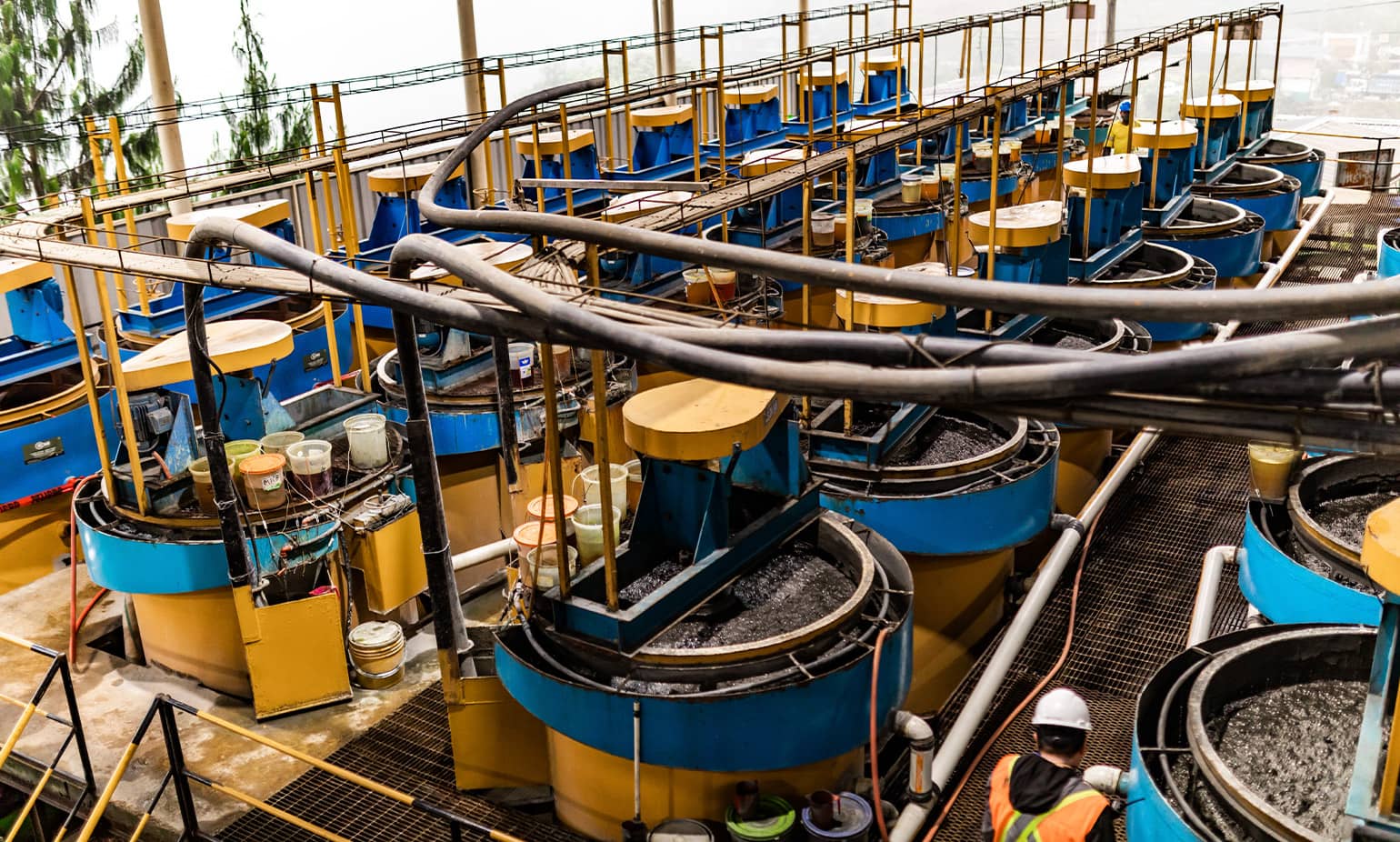 agrimroc-procesos-planta-procesamiento-2